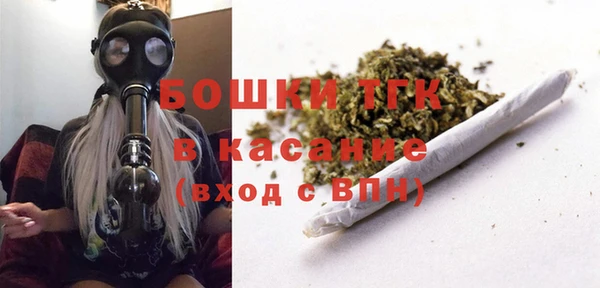 гашик Алексеевка