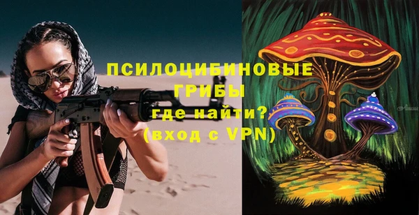 ГАЛЛЮЦИНОГЕННЫЕ ГРИБЫ Алексин