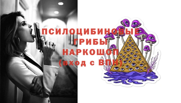 ГАЛЛЮЦИНОГЕННЫЕ ГРИБЫ Алексин