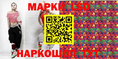 apvp Свободный