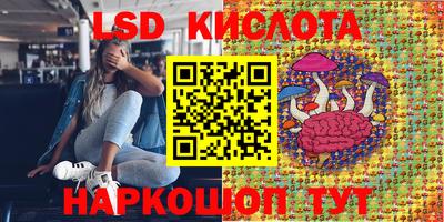 apvp Свободный