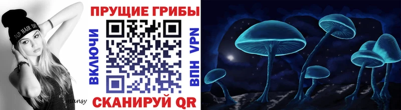 Галлюциногенные грибы ЛСД  Черемхово 