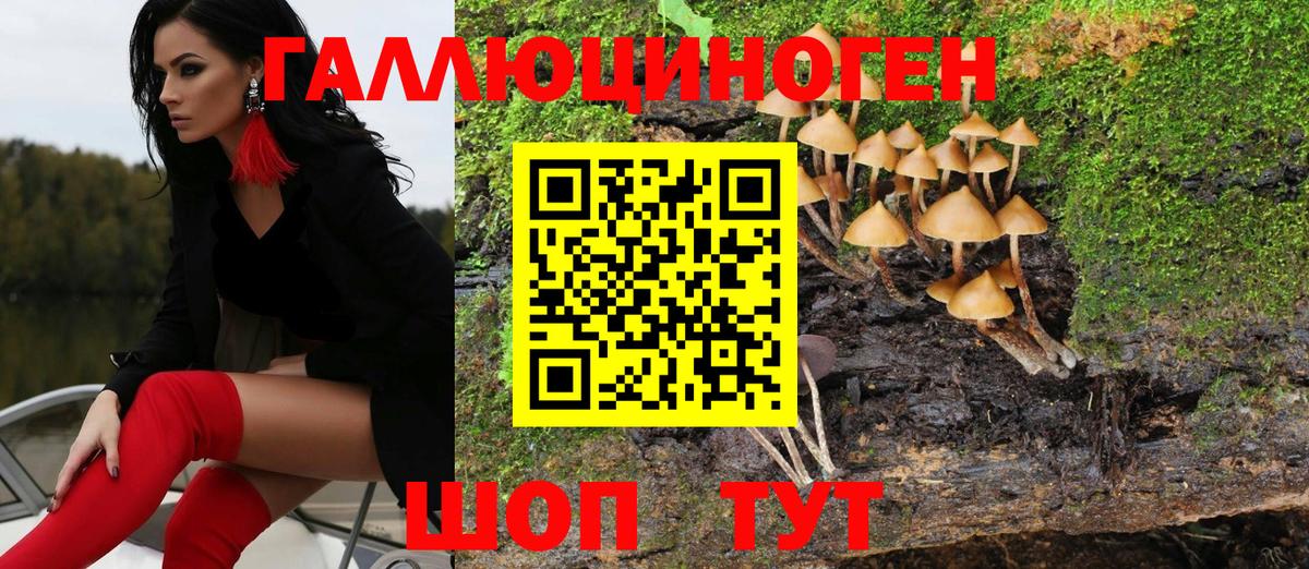 Черемхово  Галлюциногенные грибы Magic Shrooms  Вход с VPN 